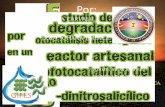 Director: VLADIMIR ARIAS RAMÍREZ QUÍMICO …recursosbiblioteca.utp.edu.co/tesisd/textoyanexos/... · Determinar el porcentaje de degradación primaria del Ácido 3,5-Dinitrosalicílico