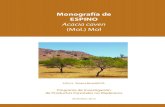 Monografía de ESPINO Acacia caven (Mol.) Molbiblioteca.infor.cl/DataFiles/30781-2.pdf · de 2 - 6 m de alto y diámetro de hasta 40 cm (Ortiz, 1966, Hoffmann, 1998), si bien en condiciones