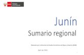 Sumario regionaldemi.produce.gob.pe/Content/files/doc_03/Regionales/Junín.pdf · Elaborado por la Dirección de Estudios Económicos de ... GORE Junín (2008) “Plan Estratégico
