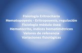 Fisiología Eritrocitaria Hematopoyesis - Eritropoyesis ...ecaths1.s3.amazonaws.com/fisiologiafacena/1594844405.2015.04.01... · MEGACARIOPOYESIS factor de crecimiento e inhibitorios
