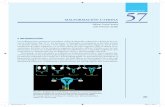 CAPÍTULO 57 - media.axon.esmedia.axon.es/pdf/88054_3.pdf · Las malformaciones uterinas son secundarias a fallas de ... del útero y de las trompas es originario del ... tiguamente