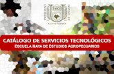 Catálogo de Servicios Tecnológicos - …facultadmaya.unach.mx/images/archivos/Catlogo-de-Servicios... · Visión La Escuela Maya de Estudios Agropecuarios en el año 2018, es reconocido