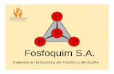 Fosfoquim S.A. - asiquim.com€¦ · riesgos para el transporte de cargas por carretera. FOSFOQUIM S.A. FOSFOQUIM S.A. FOSFOQUIM S.A. ... Errores frecuentes en el desarrollo de una