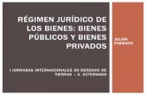 RÉGIMEN JURÍDICO DE LOS BIENES: BIENES PÚBLICOS Y BIENESmedioambiente.uexternado.edu.co/m3d10AmB/wp... · PRIVADA ADJUDICACIÓN DE BALDÍOS RESTITUCIÓN DE TIERRAS REPARACIÓN