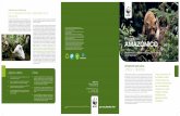 Amazonía - awsassets.panda.orgawsassets.panda.org/downloads/programa_amazonico.pdf · Programa AMAZÓNICO Amazonía peruana, única y diversa El Amazonas nace a 5500 m.s.n.m. en