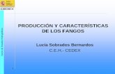 PRODUCCIÓN Y CARACTERÍSTICAS DE LOS FANGOScatedramln.unizar.es/files/conferencias/lodos2013/Sobrados.pdf · PRIMARIOS EN EXCESO FANGOS MIXTOS FANGOS FÍSICO-QUÍMICOS PRODUCCIÓN