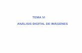 TEMA VI ANÁLISIS DIGITAL DE IMÁGENES - ual.esgilmanza/presentacion/p6.pdf · § Análisis de texturas. Operaciones generales:Gestión de archivos § Importación / exportación