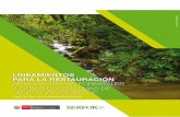 DE ECOSISTEMAS FORESTALES Y OTROS ECOSISTEMAS … · lineamientos para la restauraciÓn de ecosistemas forestales y otros ecosistemas de vegetaciÓn silvestre r.d.e. nº 083-2018-minagri-serfor-de