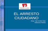 EL ARRESTO CIUDADANO - Ministerio de Justicia y … · 2014-09-01 · Art. 38º Ley Nº 28879, Ley de Servicios de Seguridad Privada, establece: ... servicios de seguridad privada