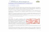 LABORATORIO FISIOLOGÍA SANGUÍNEA …fisiopuj.tripod.com/Guias/a_sangre.pdf · Esta fase esa influenciada por factores neurohumorales como el sistema nervioso simpático o agentes