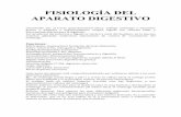 FISIOLOGÍA DEL APARATO DIGESTIVOfiles.alexandercaal.webnode.es/200000017-02517034b6/Fisiologia... · La luz del intestino: encontramos mucosa con epitelios (enterocitos), luego ...