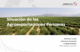 Situación de las Agroexportaciones Peruanas - … · Los costos logísticos representan un gran reto para el sector exportador. Un reciente estudio del Banco Mundial sostiene que