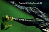 Reptiles 2013. Conferencia 19 - cmas.siu.buap.mxcmas.siu.buap.mx/portal_pprd/work/sites/biologia/resources... · Parece ser que los primeros reptiles eran ya explotadores eficientes