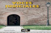 [Escriba aquí] [Escriba aquí] [Escriba aquí]angelduran.com/docs/Libros/Lib12-VocesJudiciales.pdf · 2018-04-21 · - Los derechos del menor y su protección judicial……………………………