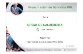 Presentación de Servicios PRL - Gremi de Caldereria · Asesoramiento sobre procedimientos de trabajo y equipos en zonas clasificadas.