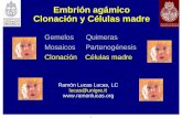 Embrión agámico Clonación y Células madre - … Embrion human… · unión del gameto masculino (espermatozoide) y del ... – a una concepción selectiva del hombre – a una