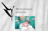Miomatosis uterina · PPT file · Web view2011-11-19 · Definición El mioma es un tumor benigno compuesto fundamentalmente de fibras musculares lisas. Son los tumores más …