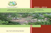 “Por un Desarrollo Agrario 2010 - 2013 Integral y ...repositorio.una.edu.ni/3347/1/NE51N973.pdf · del componente Rescate Cultural del Proyecto de Extensión y desarrollo Comunitario
