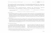 Actualización taxonómica y nomenclatural de las …luisjavierchueca.com/wp-content/uploads/2013/04/Chueca-et-al.-2017... · representado dentro del archipiélago balear, con especies