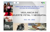 VIGILANCIA DE MUERTE FETAL Y NEONATAL - … · muerte fetal y neonatal s.e.: 43 - 2011 direccion regional de salud junin oficina de epidemiologia. 0 5 10 15 20 25 30 35 ... la oroya