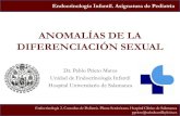 ANOMALÍAS DE LA DIFERENCIACIÓN SEXUALcampus.usal.es/~ogyp/Clases teoricas 2014 2015/Endocrino/ads clase.… · •Clasificación de las anomalías de la diferenciación sexual ...