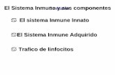 El Sistema Inmune y sus componentes Sumario - …files.sld.cu/patologiaclinica/files/.../06/2dacomponente-ii-e-ia12.pdf · fagocitosis El nivel en sangre de estas proteínas se incrementa