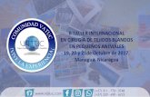 IITALLER INTERNAIONAL EN IRUGÍA DE TEJIDOS LANDOS EN ...vatuc.com/wp-content/uploads/2017/02/IICXTBLANDOS... · a la dinámica grupal se irán adelantando de la mano del curso temas