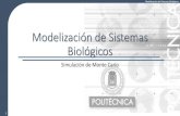 Modelización de Sistemas Biológicoslaurel.datsi.fi.upm.es/.../docencia/asignaturas/msb/pub/montecarlo.pdf · Integración con Monte Carlo Aceptación/Rechazo Monte Carlo Estratificado