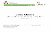 Guía Clínica Paciente Equino Quemado - …veterinaria.unab.cl/wp-content/uploads/2017/01/Guía-Clínica... · 4.1. Diagnóstico y Evaluación del paciente quemado: ... la base