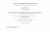 Universidad de Huelvarabida.uhu.es/dspace/bitstream/handle/10272/157/b... · 2018-01-17 · La transición de la escuela primaria a la secundaria ... Cuestionario de interés por