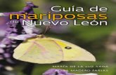 mariposas - fondoeditorialnl.gob.mx · MarIa de la luz sada alIda Madero FarIas. Este libro está dedicado a Don Andrés M. Sada, fundador del Club de Observadores de Mariposas Papalotl,
