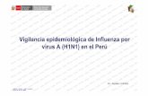 Vigilancia epidemiológica de Influenza por virus A (H1N1 ... · máquinas fumigadoras, apoyo con combustible, apoyo con personal, acciones conjuntas, propuesta para la ... 141 106