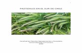 PASTURAS EN EL SUR DE CHILE - Praderas y Pasturaspraderasypasturas.com/rolando/04.-Publicaciones/01.-Publicaciones... · perennes y anuales (50 a 70%). Las leguminosas contribuyen