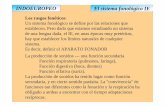 INDOEUROPEO El sistema fonológico IE - nevada.ual.esnevada.ual.es/fgriega/PDF/IE_ppt_6.pdf · FONEMA Cada una de las unidades fonológicas mínimas que en el ... Oclusivas p / b