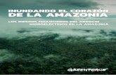 INUNDANDO EL CORAZÓN DE LA AMAZONIAarchivo-es.greenpeace.org/espana/Global/espana/2016/report/bosques... · La región amazónica de Brasil, que incluye gran parte de la mayor selva