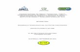 SOLICITUD DE APOYO FINANCIERO - …glifos.concyt.gob.gt/digital/fodecyt/fodecyt 2006.67.pdf · EQUIPO DE INVESTIGACION ... Presentación de avance de resultados del proyecto de chile