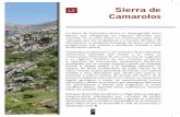 12 Sierra de Camarolos - nororma.com · Hondonero, un pequeño bosquete de pinos carrascos ... Ficha técnica del itinerario Perfil de la ruta. 151 Localización. ... agrícola cuyo