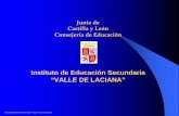 Presentación de PowerPoint - IES VALLE DE LACIANAiesvallelaciana.centros.educa.jcyl.es/...CICLOS_DE_GRADO_MEDIO.pdf · Esta nueva F.P. se orienta hacia retos organizativos y tecnológicos