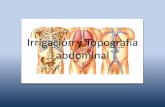 Irrigación y Topografía abdominal · Regiones y nos del abdomen . Arterias del estómago, hígado y bazo . Arterias del higado, páncreas, duodeno y bazo . Arterias del duodeno