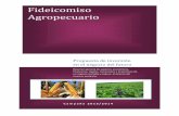 Fideicomiso Agropecuario - yoinvierto.com.aryoinvierto.com.ar/pdf/AgroRaices.pdf · persona trasmite la propiedad de ciertos bienes con el ... representatividad y economías de escala.