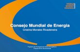 Consejo Mundial de Energia - energycolombia.orgenergycolombia.org/images/MEMORIAS/2016/PROSPECTIVAS/WorldEn… · – Mapas tematicos- Issues Map Monitor Los estudios se ... Herramienta