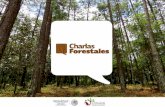 Presentación de PowerPoint - EXPO FORESTAL 2018 · Ley General de Vida Silvestre Sistema Nacional de Información sobre la Vida Silvestre, que incluye también su hábitat. Ley General