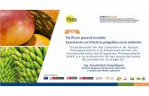 Gerente Regional de Recursos Naturales - Euroecotrade · 2016-10-30 · experiencias en la inducción floral del mango orgánico como respuesta al cambio climático en la región