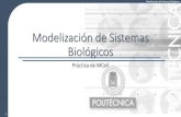 Modelización de Sistemas Biológicoslaurel.datsi.fi.upm.es/_media/docencia/asignaturas/msb/pub/mcell... · Partes Básica. 4 Modelización de Sistemas Biológicos ... •Explicación