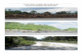 Loreto 2013: Análisis del estado de los sectores ... · medidas para minimizar impactos ambientales y sociales para asegurar que la situación actual en la región de Madre de Dios