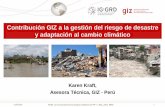 Contribución GIZ a la gestión del riesgo de desastre y ... · 21/07/2016 Taller La innovación peruana riesgos climáticos en PIP ... Puntos de entrada: ... Taller de Cooperación
