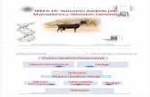 TEMA 18: Selección Asistida por Marcadores … · genético de los animales de la población a seleccionar a partir de los genotipos de los marcadores 3) Seleccionar los reproductores