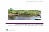 construccion de borderia rustica en la laguna buenavistasinat.semarnat.gob.mx/dgiraDocs/documentos/chis/estudios/2002/07C… · “Construcción de Bordería Rustica en la Laguna