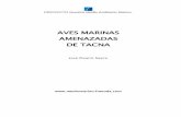AVES MARINAS AMENAZADAS DE TACNA - …mediomarino.freeoda.com/NOV 2012/J. Pizarro AVES... · DE TACNA José Pizarro Neyra . AVES MARINAS AMENAZADAS DE TACNA 2 ... -CONVENCIÓN SOBRE