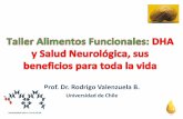 Prof. Dr. Rodrigo Valenzuela B. - enfasis.com · Embarazo y primeros dos años de vida (Desarrollo Cerebral) Memoria y aprendizaje Inflamación Cáncer Daño por isquemia reperfusión